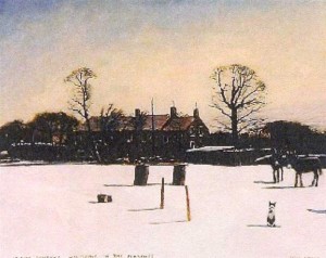  Seaside Donkeys Wintering In The Pennines BY Peter Brook